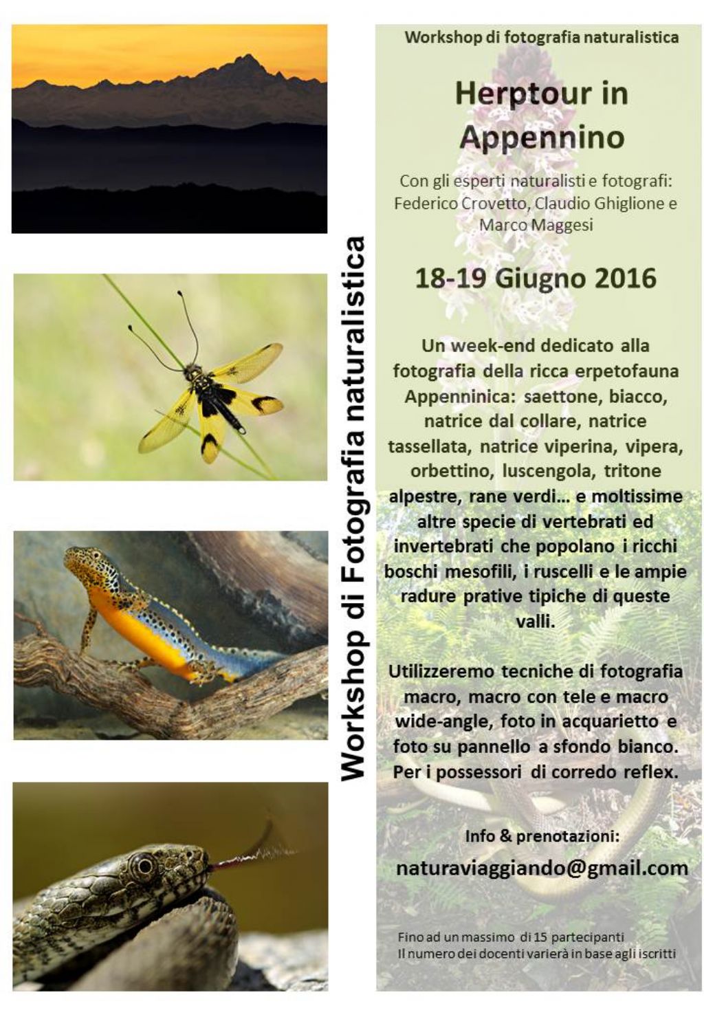 Workshop fotografico naturalistico: Herptour in Appennino